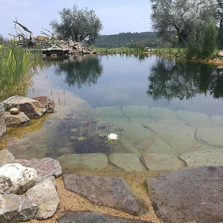 Сasa de vacaciones Masia Historica Con Biopiscina *