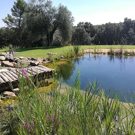 Masia Historica Con Biopiscina Сasa de vacaciones